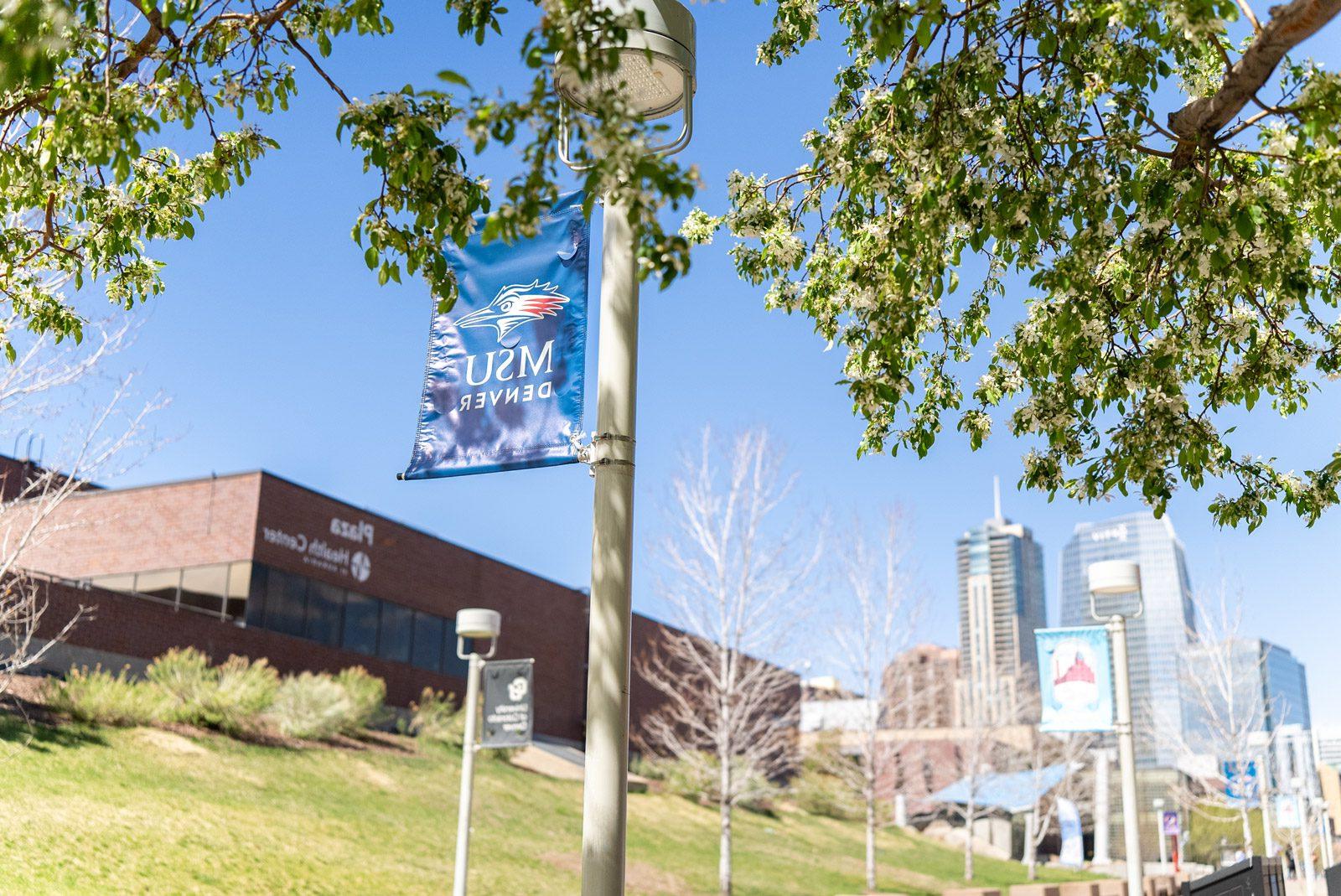 Budding trees on campus with a blue 密歇根州立大学丹佛 banner and the Plaza Building in the background